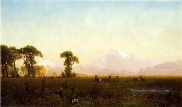 Cerf broutant Grand Tetons Wyoming Albert Bierstadt Peinture à l'huile